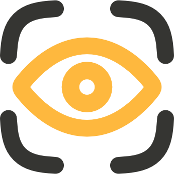 vision
